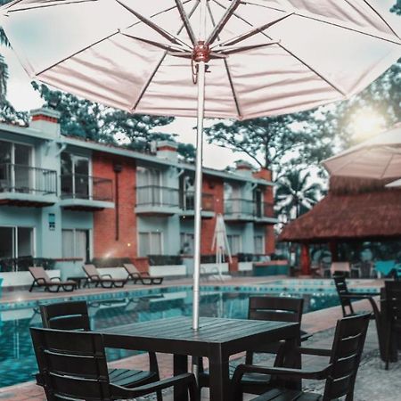Hotel Y Restaurante Meson Del Gitano Caucasia Εξωτερικό φωτογραφία